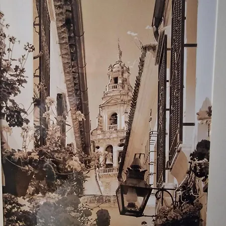 Apartmán Nuevo Y Centrico, Santa Marina